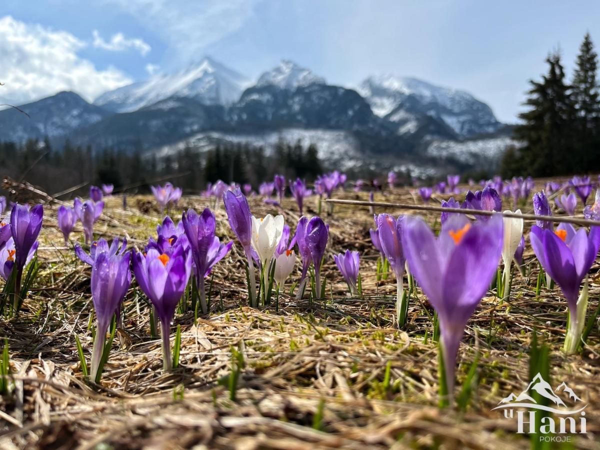 Pokoje U Hani - Sauna, Balia Z Hydromasazem Bukowina Tatrzańska Dış mekan fotoğraf